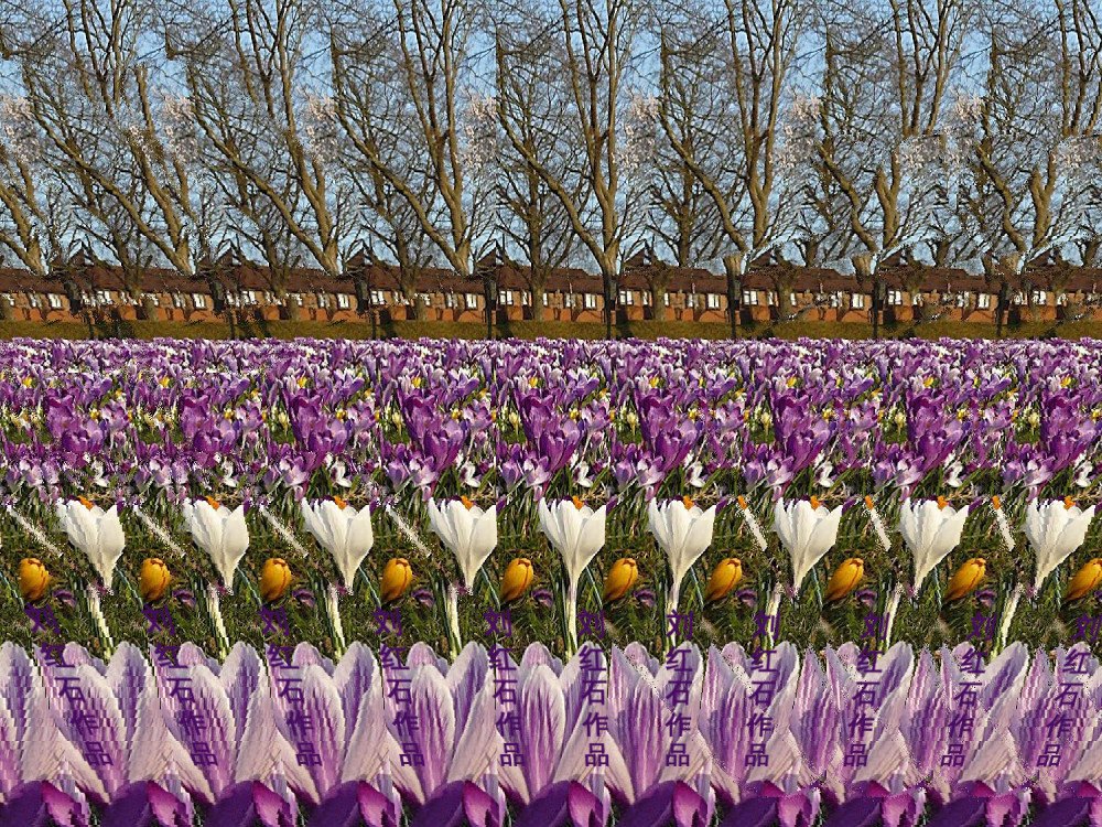 三维立体画-刘红石作品-[ 飞机 ]