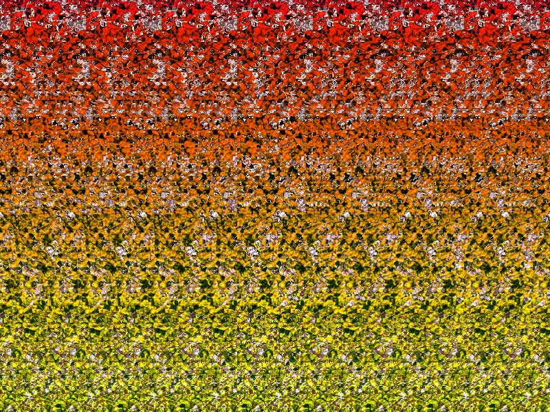 �ٺϻ�