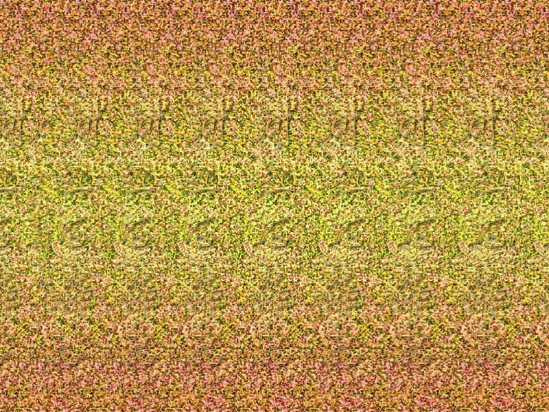 刘红石三维立体画作品