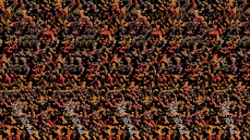 蝇