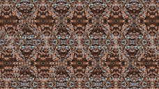 蟹