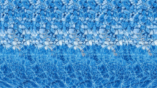 狗